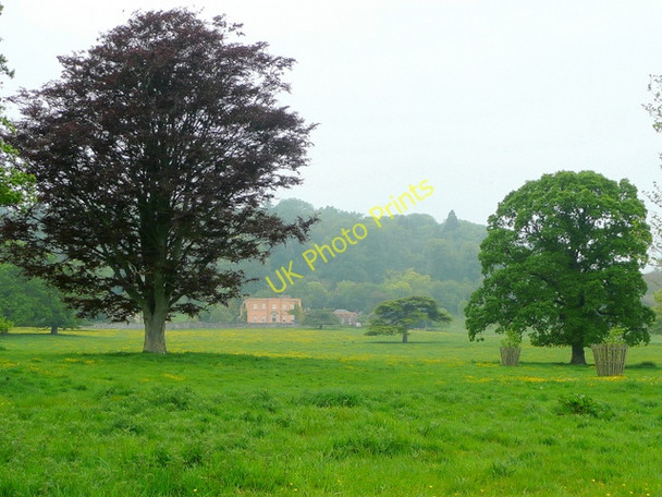 Photo 6"x4" Misty parkland Beare\/SS9800 c2009