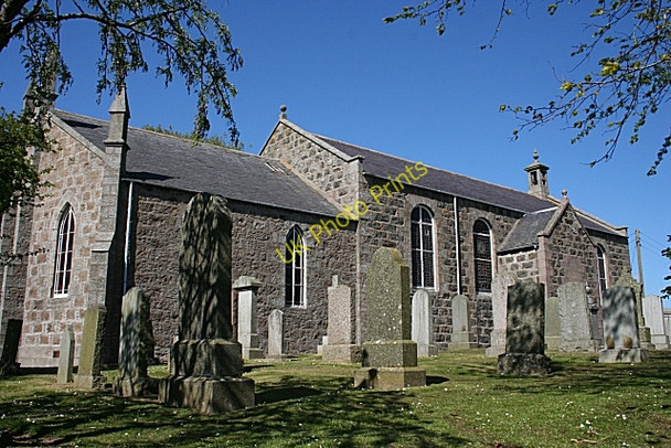 Photo 6"x4" Savoch of Deer Kirk Auchnagatt c2009