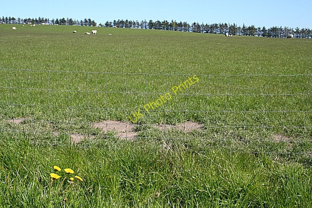 Photo 6"x4" Near Knaps of Bedlam Middlemuir\/NJ8643 c2009 P1