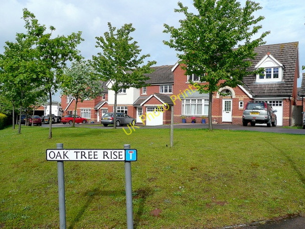 Photo 6"x4" Oak Tree Rise, Ross-on-Wye 2 Ross-on-Wye c2009