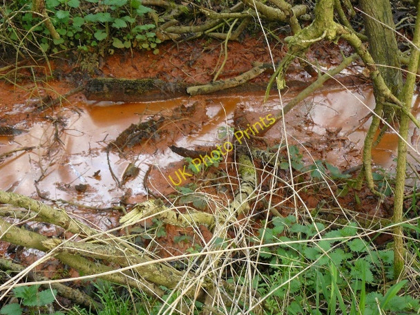 Photo 6"x4" Muddy Brook Ilkeston c2009