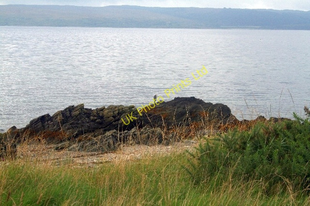 Photo 6"x4" Heron on Rocks at Pirnmill. Pirnmill c2007