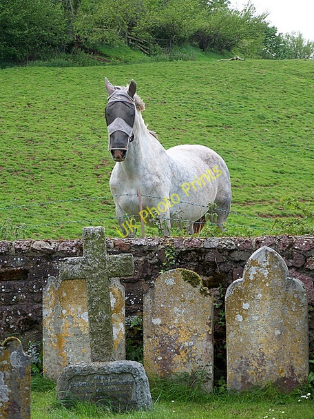 Photo 6"x4" Churchyard, St Michael's Church, Dunchideock Dunchideock c2009