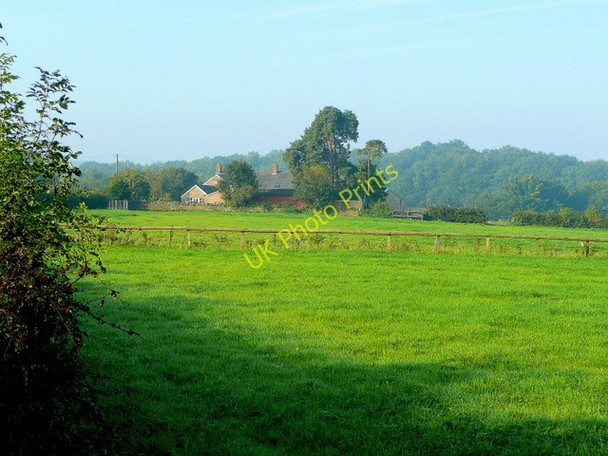 Photo 6"x4" Leys Hill 1 Bull's Hill\/SO5920 c2008