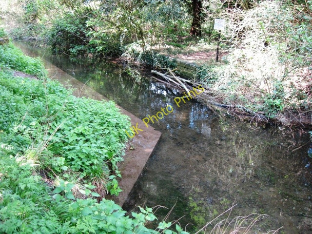 Photo 6"x4" Wendover Arm: The East End of The Narrows Buckland\/SP8812 c2009