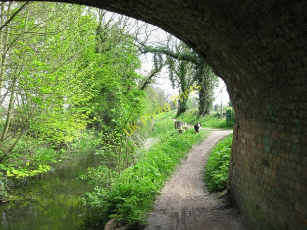 Photo 6"x4" Wendover Arm: Looking East from under Bridge No 7 Buckland\/SP8812 c2009