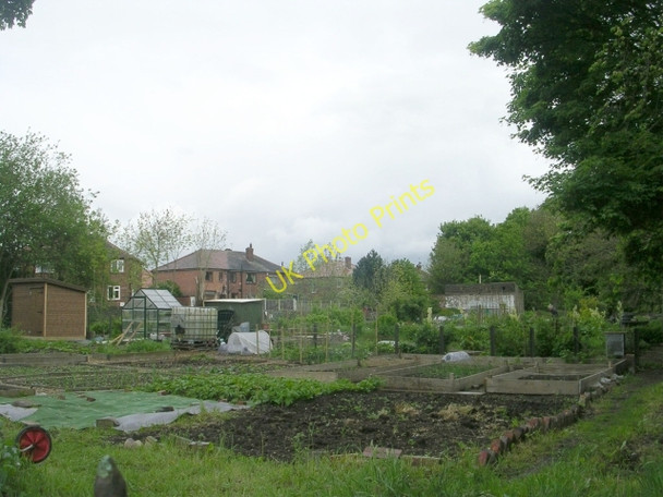 Photo 6"x4" Allotments - Whitechapel Road Cleckheaton c2009