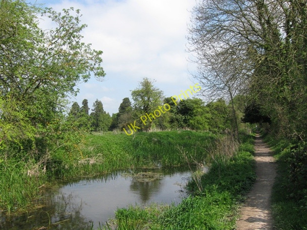 Photo 6"x4" Wendover Arm: Fewer trees mean more reeds Wendover c2009