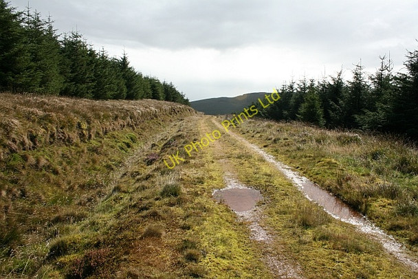 Photo 6"x4" Forestry Track at Lochorodale. Drumlemble c2007