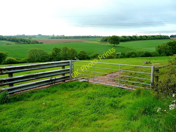 Photo 6"x4" View over the Llanerch Brook valley Penguithal c2009
