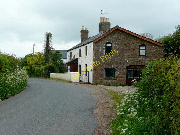 Photo 6"x4" The Pleck Welsh Newton c2009