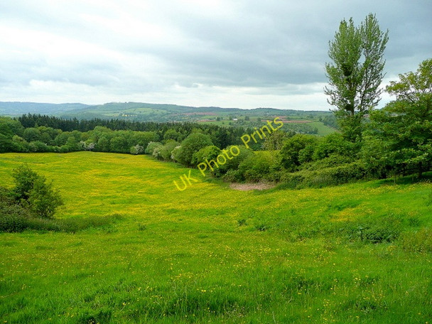 Photo 6"x4" The Monnow valley 2 St Maughans Green c2009
