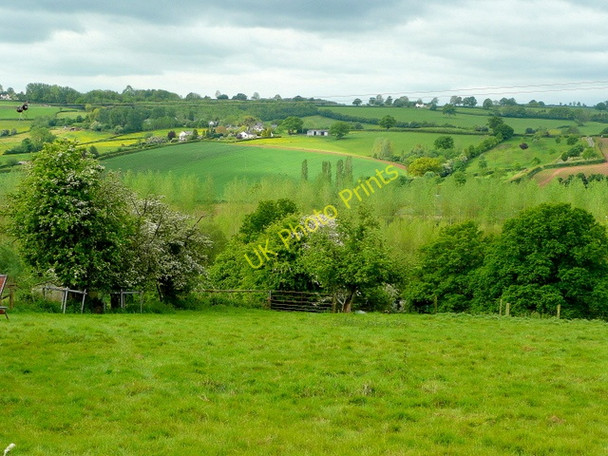 Photo 6"x4" The Monnow valley 6 St Maughans Green c2009