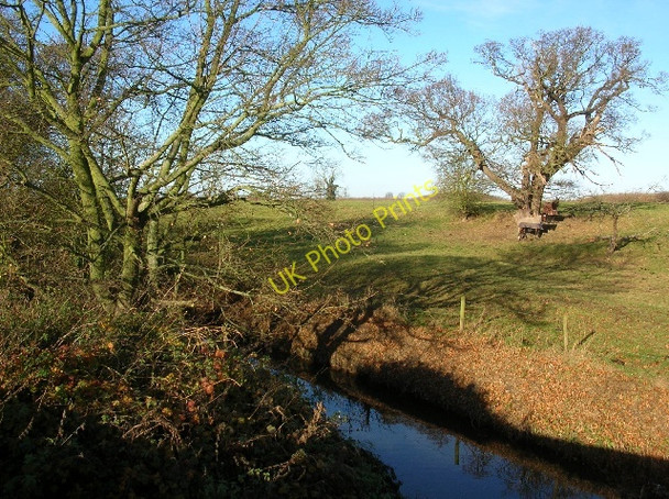 Photo 6"x4" Horses by Hornington Bridge Bolton Percy c2008