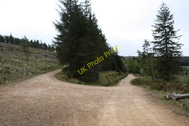 Photo 6"x4" Track junction near Glenmullie Tomintoul\/NJ1618 c2009