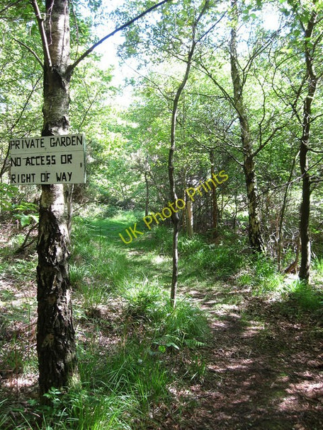 Photo 6"x4" Private Land, Tilsmore Wood Heathfield\/TQ5821 c2009