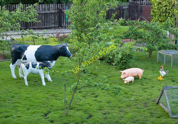 Photo 6"x4" Model farm animals, Eastrington Eastrington c2009