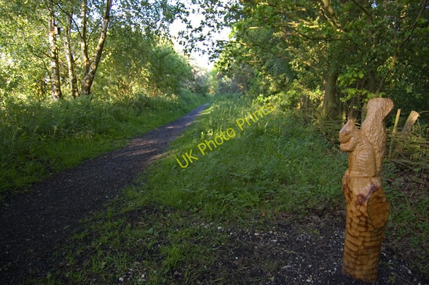 Photo 6"x4" Former railway, Eastrington Eastrington c2009