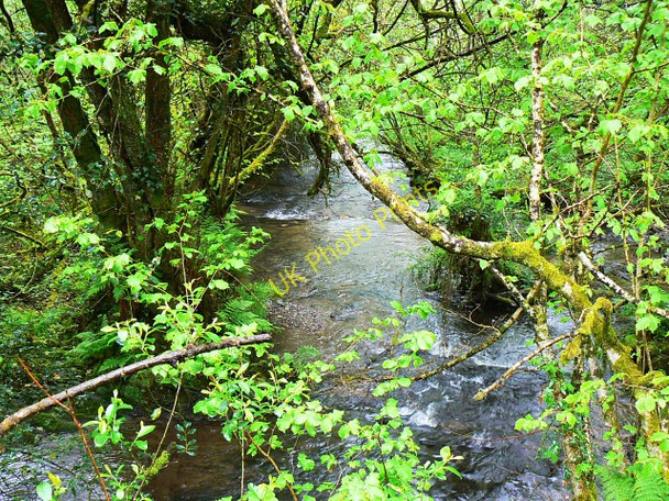 Photo 6"x4" Afon Tigen, Pont Ty-coed, Fron-isaf Cefn-y-pant c2009