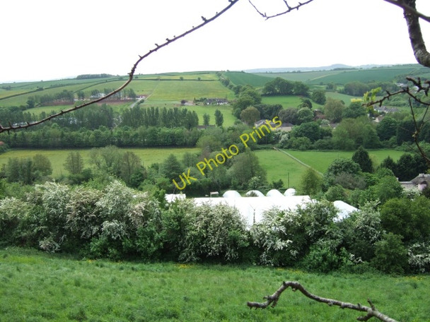 Photo 6"x4" Fields and polytunnels below Hambeer Lane, Exeter Exeter c2009