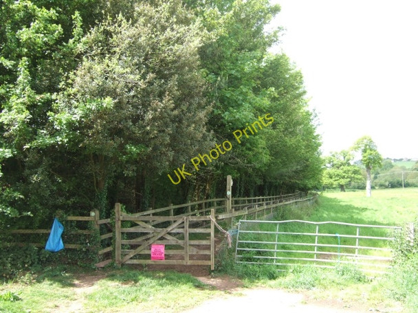 Photo 6"x4" Footpath between Ide and Alphington Exeter c2009