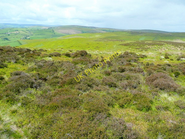 Photo 6"x4" Moorland on the west side of Pool Hill Cwm Dwliwn c2009