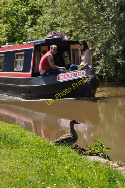 Photo 6"x4" Narrowboat and ducklings Alvecote c2009