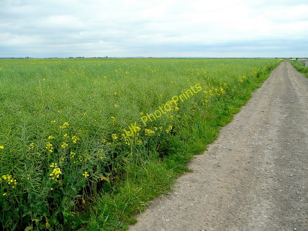 Photo 6"x4" Farm track east of Hookmoor Farm Rawcliffe Bridge c2009