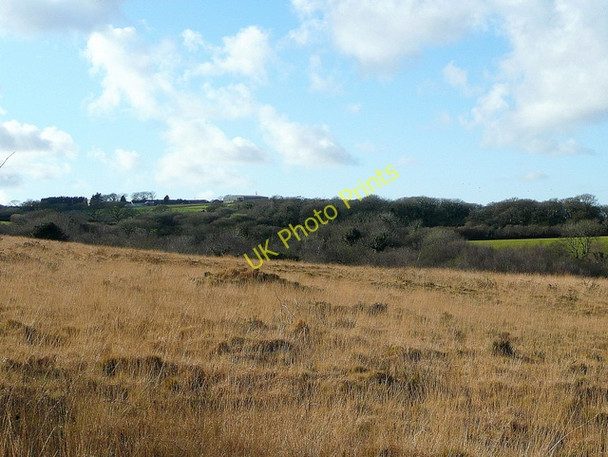 Photo 6"x4" Common land near Demelza 2 Demelza c2008