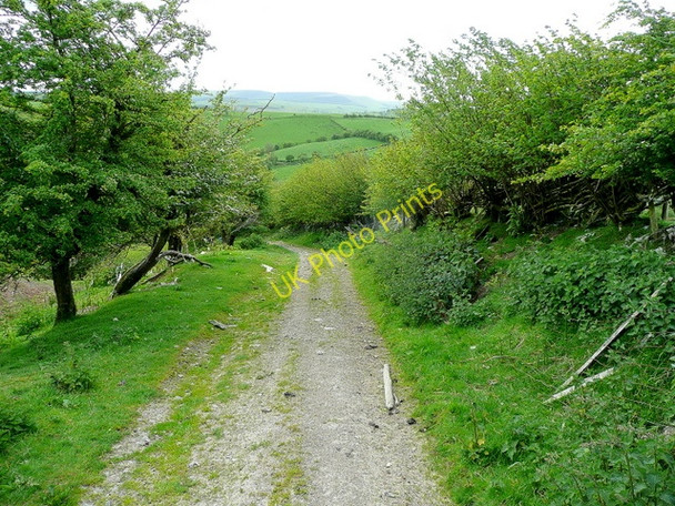 Photo 6"x4" Bridleway south Cefn-yr-eryri c2009