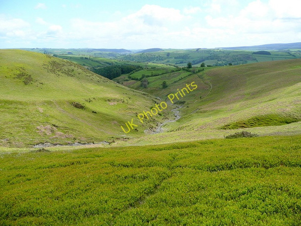 Photo 6"x4" Upper Lugg valley 2 Rhos-crug c2009