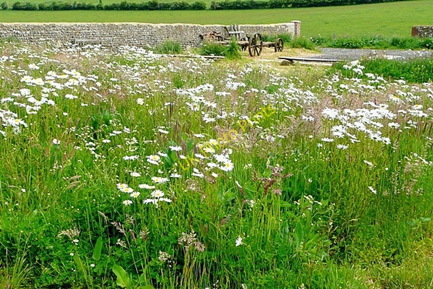 Photo 6"x4" Adjacent to The Downs Barn Beggars Bush\/TQ1607 c2009