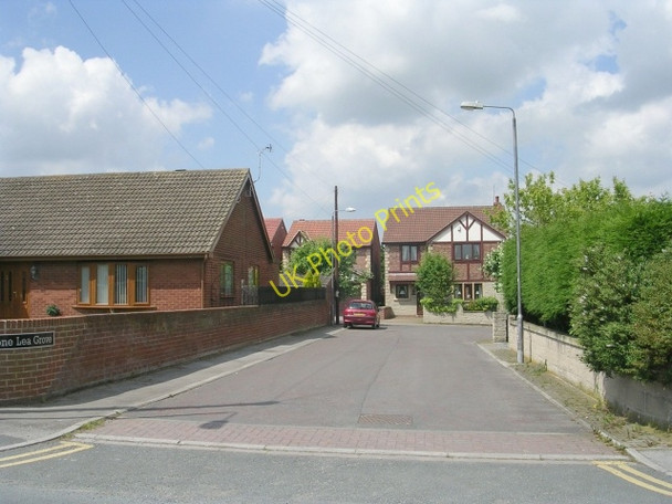 Photo 6"x4" Stone Lea Grove - Rowley Lane Moorhouse\/SE4810 c2009