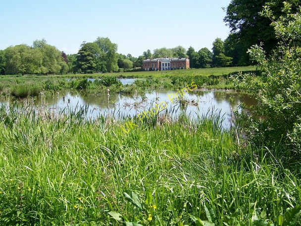 Photo 6"x4" Ponds, Avington  Park Couch Green c2009