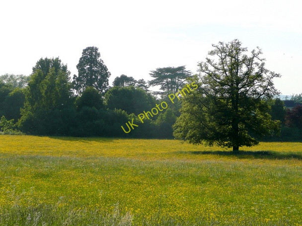 Photo 6"x4" Evening meadow Kingstone\/SO6324 c2009