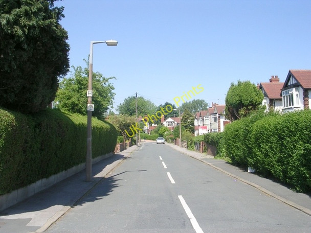 Photo 6"x4" Floral Avenue - Potternewton Lane Leeds\/SE3034 c2009