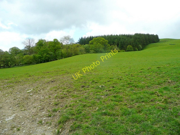 Photo 6"x4" Hillside above Maes-llymystyn Foel\/SH9911 c2009