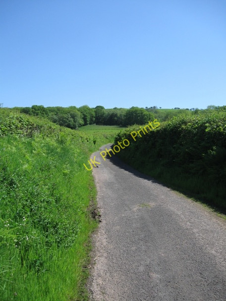 Photo 6"x4" Unclassified road looking south, uphill, towards Gellygron Twynllanan c2009