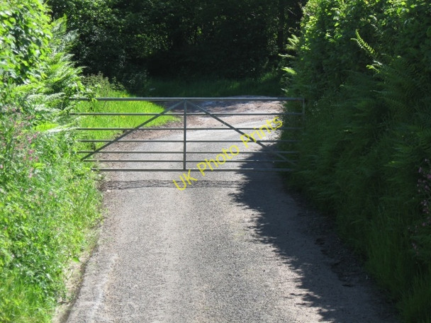 Photo 6"x4" Gate at road-end, Gellygron Twynllanan c2009