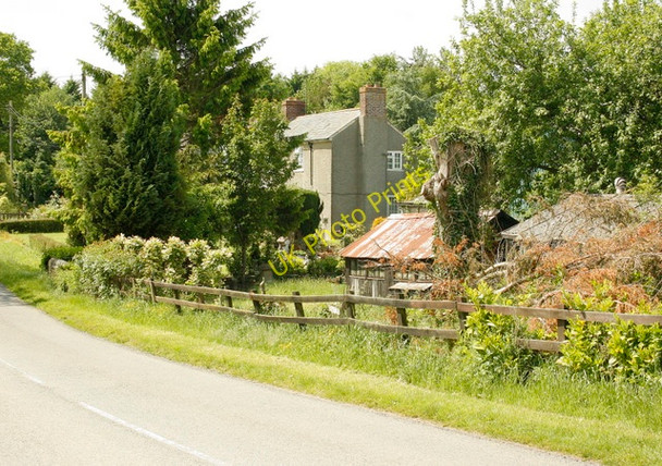 Photo 6"x4" 2009 : Cottage on Hammer Street North Brewham c2009