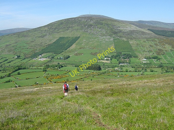 Photo 6"x4" Sculloge Gap Kiltealy c2009