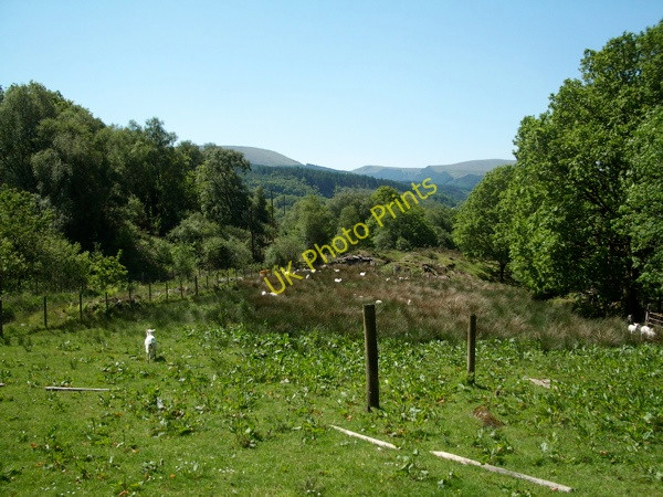 Photo 6"x4" Sheep Pasture (with newly shorn sheep) Pont-y-pant c2009
