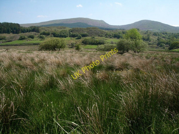 Photo 6"x4" Blaenau Dolwyddelan: rough grazing \/ marshland Blaenau Dolwyddelan c2009