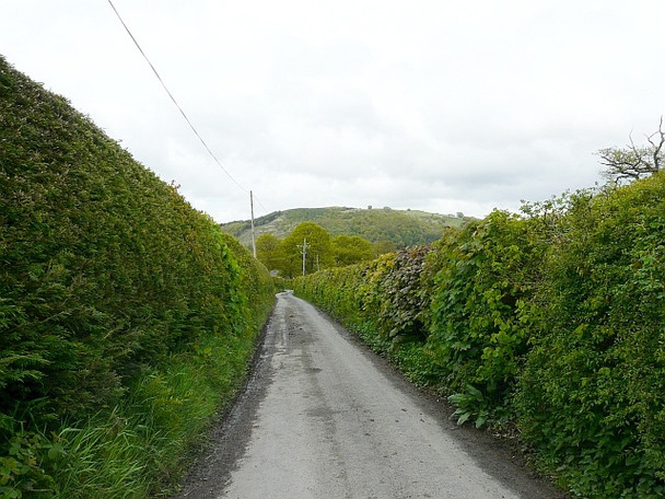 Photo 6"x4" Single track road Carno\/SN9596 c2009