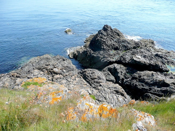 Photo 6"x4" Froweder Point Bickerton\/SX8138 c2009