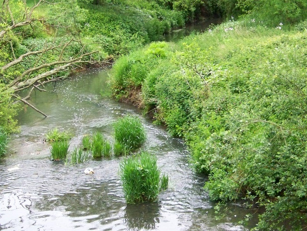 Photo 6"x4" River Rother Durleighmarsh c2009