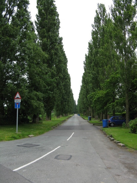Photo 6"x4" Lymm - The Avenue Lymm c2009