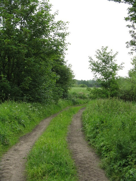 Photo 6"x4" Track Toward Lymm Golf Club Lymm c2009