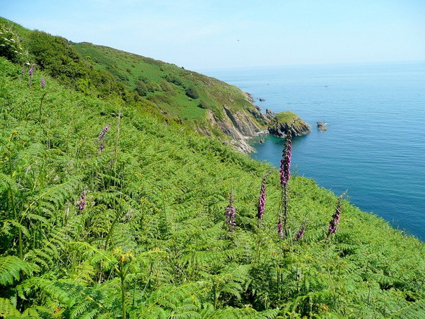 Photo 6"x4" Devonian coast Kingston\/SX9051 c2009