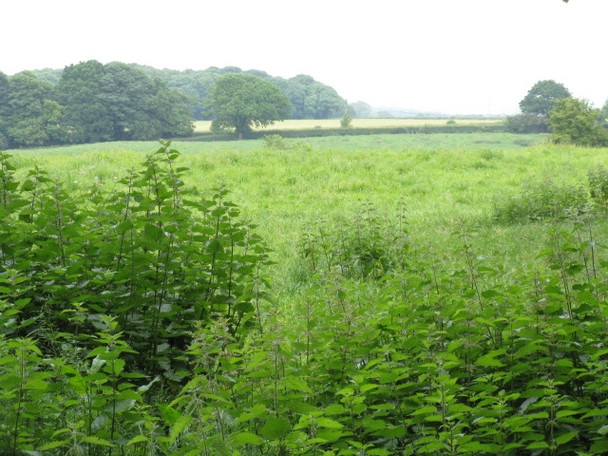 Photo 6"x4" Fields Off Boothbank Lane Arthill c2009